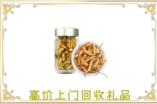 毕节周边回收虫草